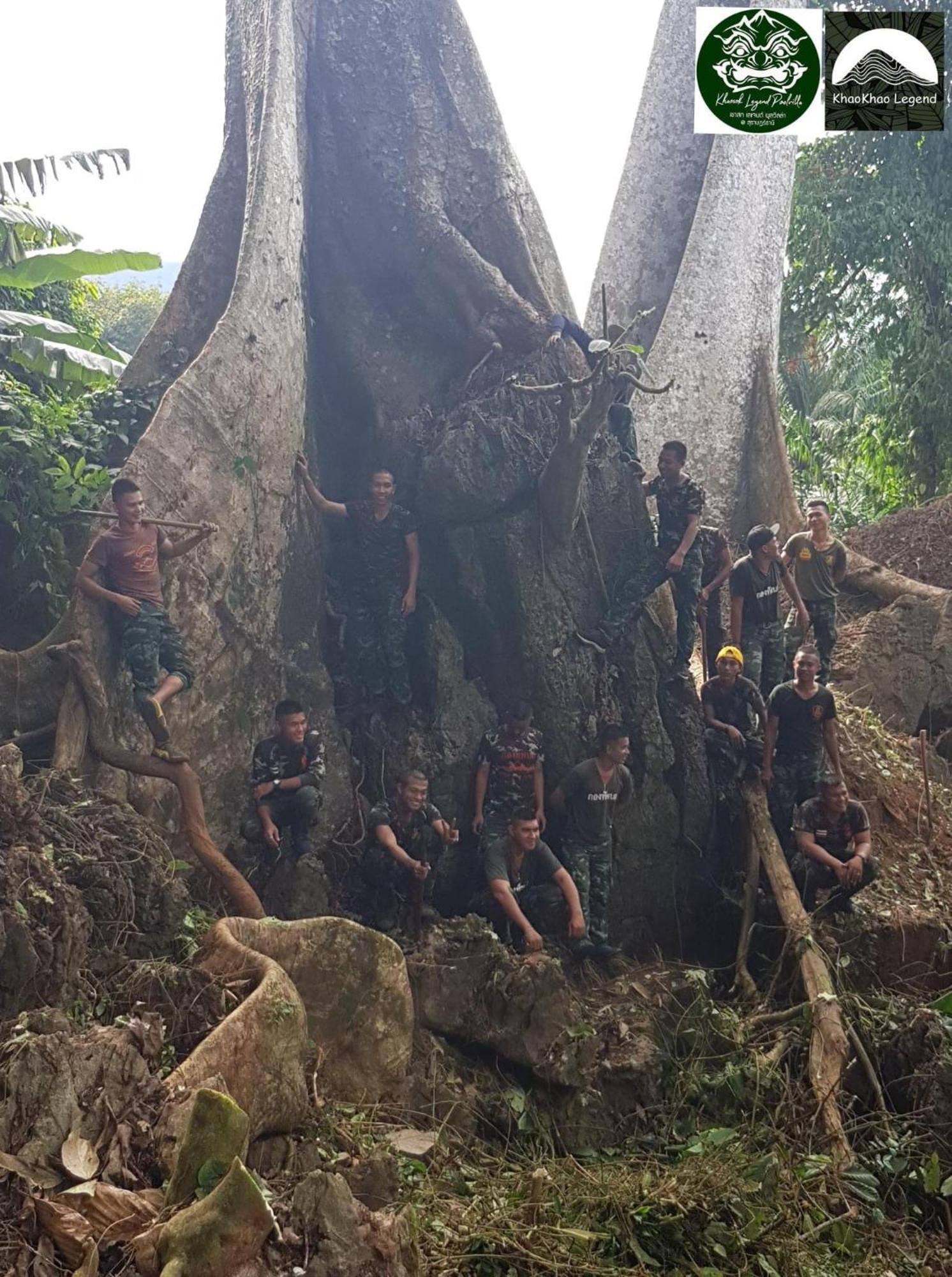 Khaosok Legend Βίλα Khao Sok National Park Εξωτερικό φωτογραφία